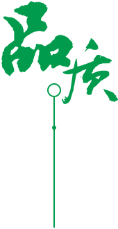 责任为魂，践行担当